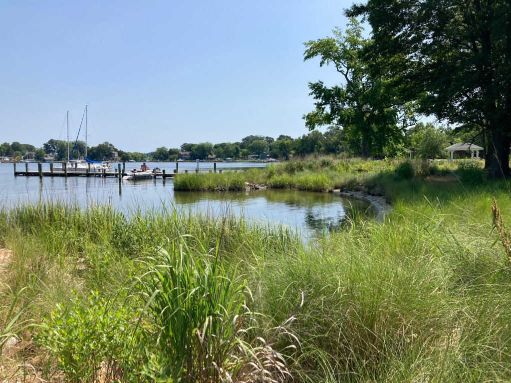 a body of water with boats in it and grass around it (MyCoast AI)