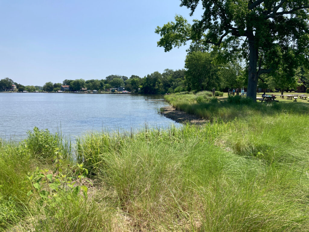 a body of water with grass and trees around it (MyCoast AI)