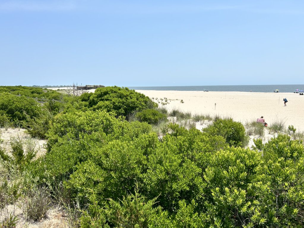 a group of people walking on a beach (MyCoast AI)