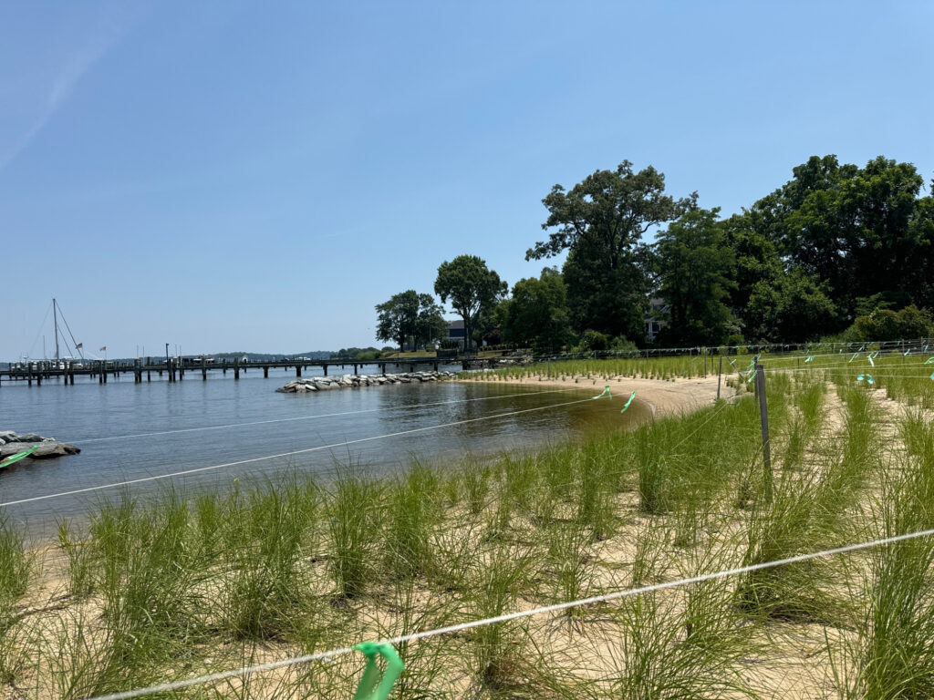 a body of water with grass and trees around it (MyCoast AI)