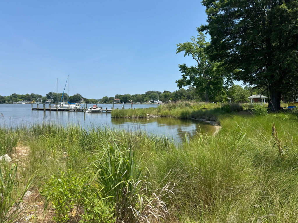 a body of water with boats in it and grass around it (MyCoast AI)
