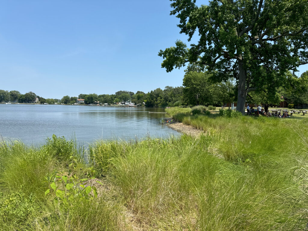 a body of water with grass and trees around it (MyCoast AI)