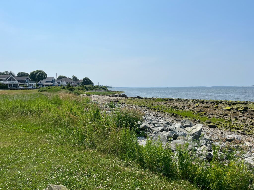 a grassy area next to a body of water (MyCoast AI)