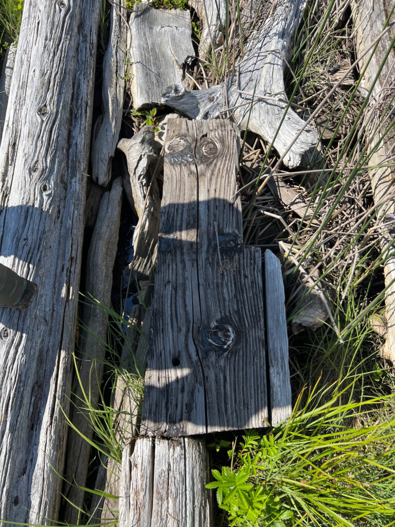 a wooden fence with a carved face (MyCoast AI)