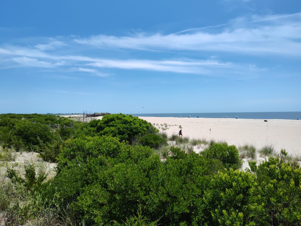 a beach with trees and bushes (MyCoast AI)