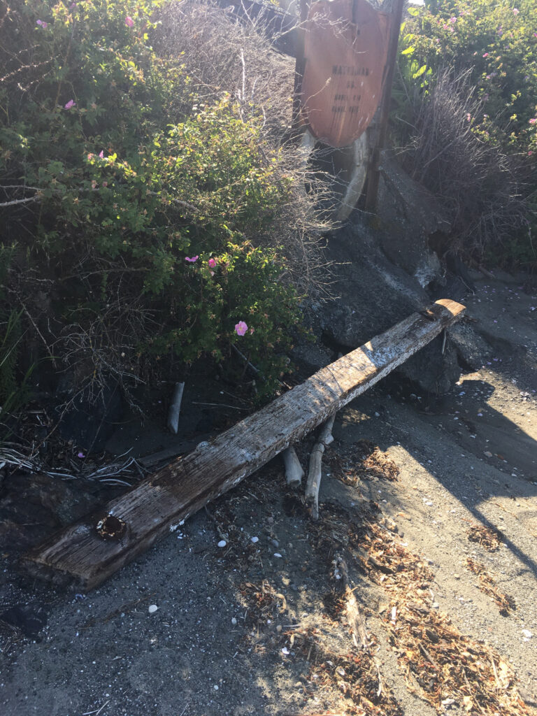 a wooden bench in a garden (MyCoast AI)
