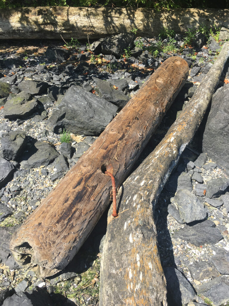 a log on the ground (MyCoast AI)