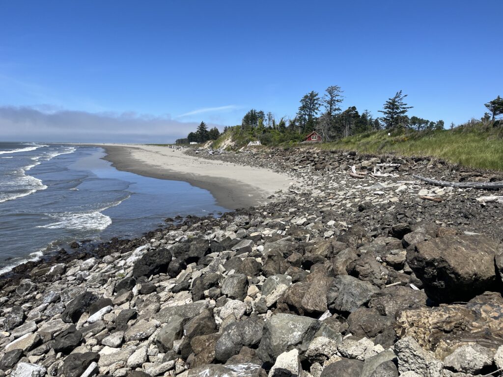 a rocky beach with trees and water (MyCoast AI)