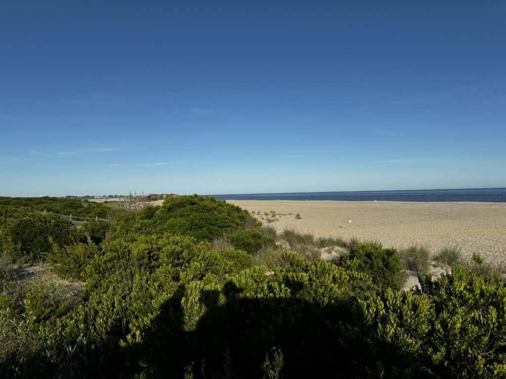a landscape with trees and bushes (MyCoast AI)