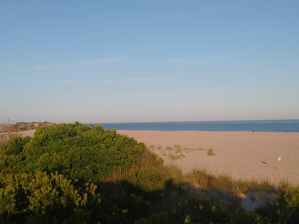 a beach with trees and water (MyCoast AI)