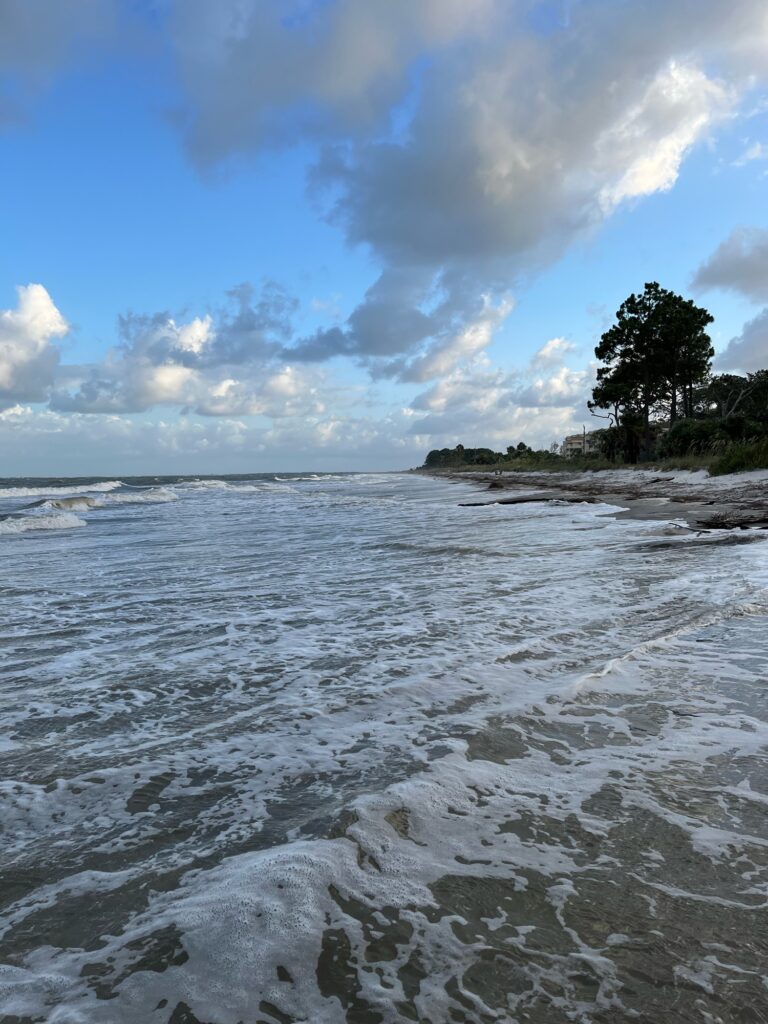 a beach with waves and a tree (MyCoast AI)