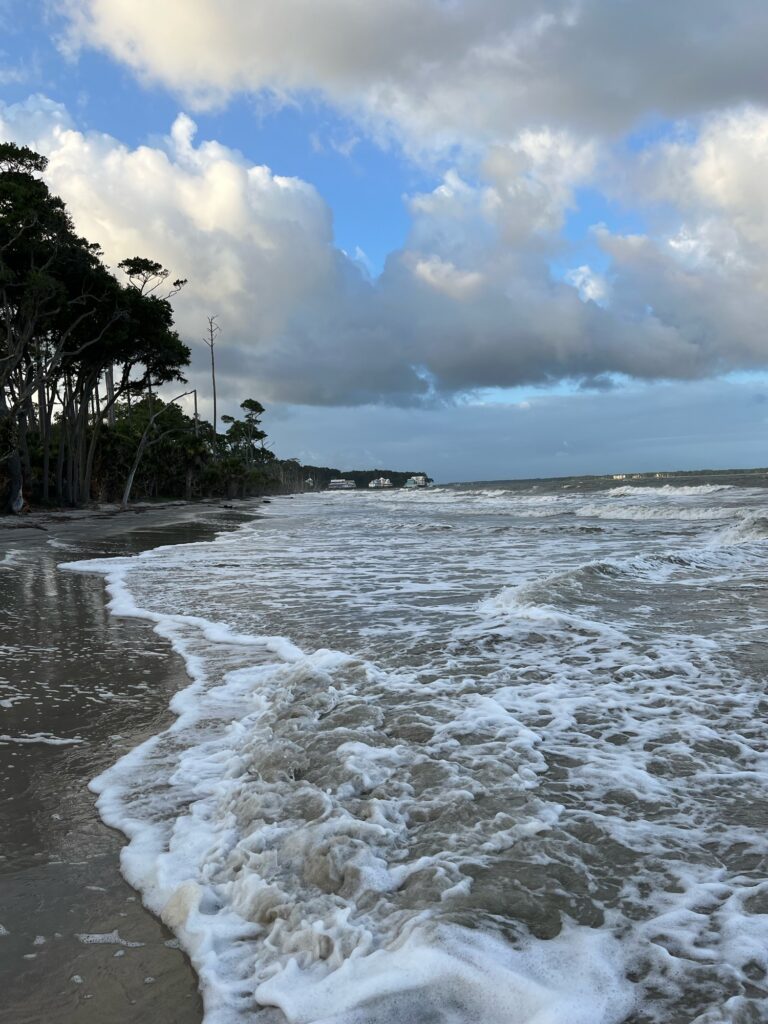 waves crashing on a beach (MyCoast AI)