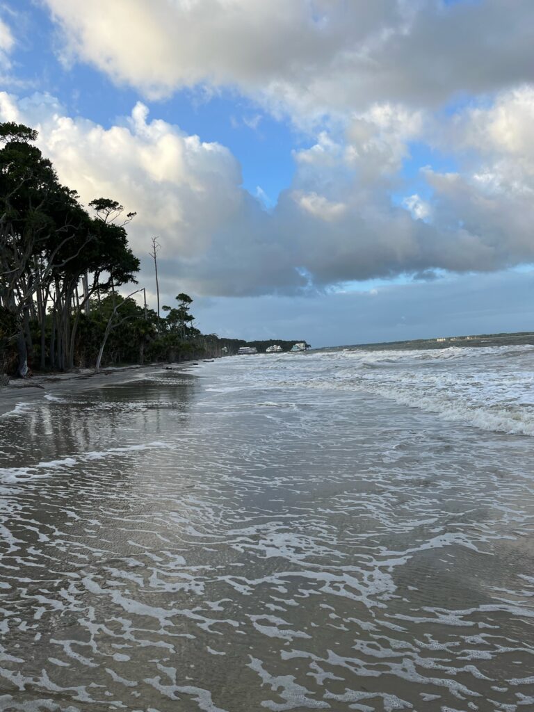 a body of water with trees on the side (MyCoast AI)