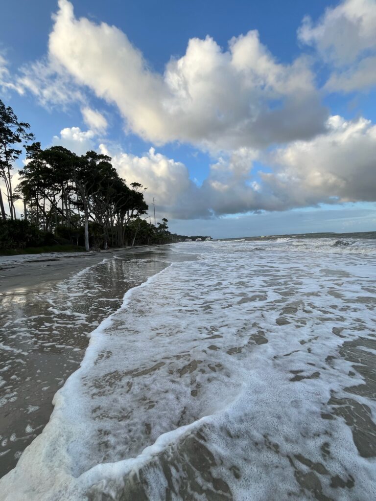 a beach with waves and trees (MyCoast AI)