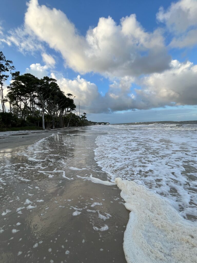 a beach with waves and trees (MyCoast AI)