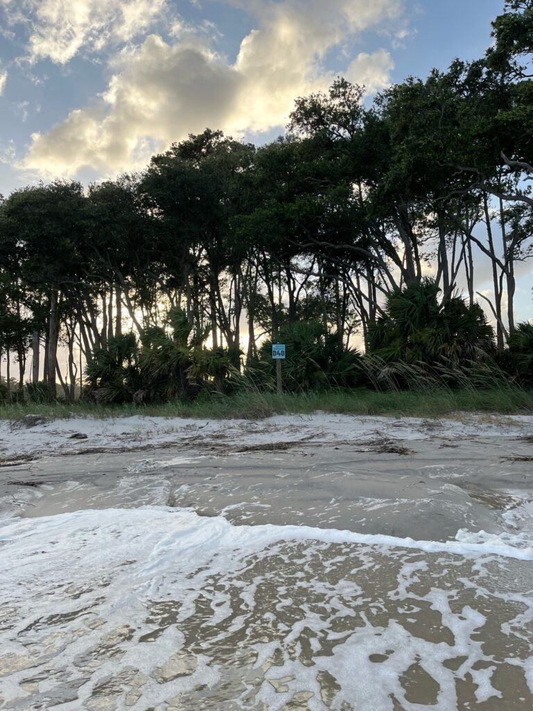 a river with trees on the side (MyCoast AI)