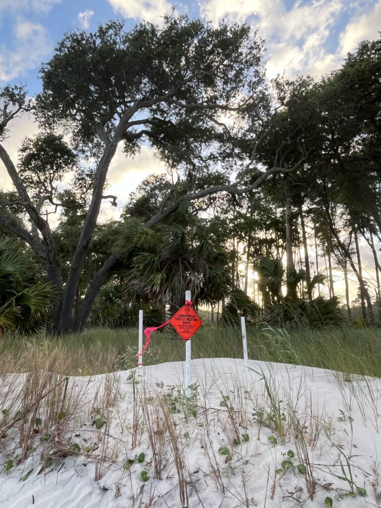 a red sign in the sand (MyCoast AI)