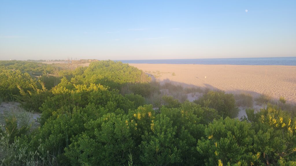 a landscape with trees and plants (MyCoast AI)