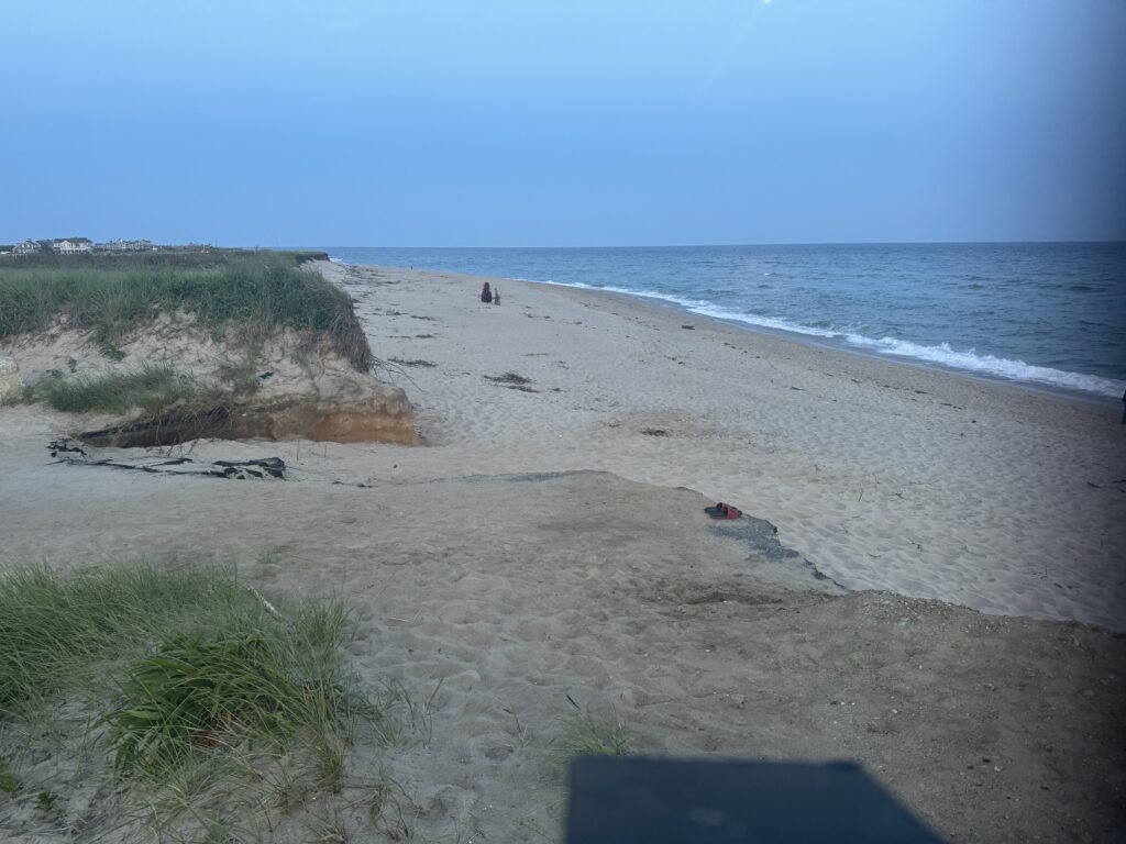 a sandy beach with a body of water in the background (MyCoast AI)