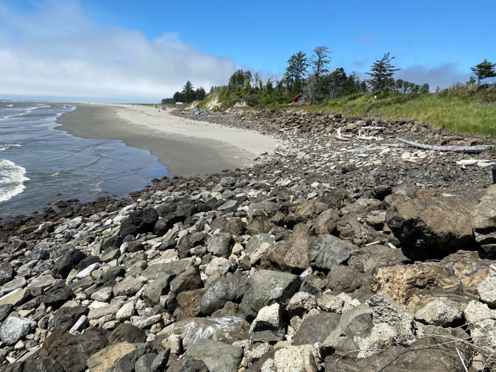 a rocky beach with trees and water (MyCoast AI)