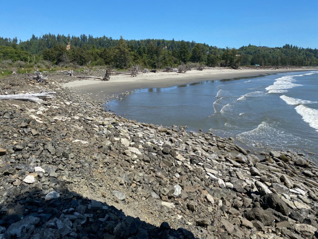 a rocky beach with trees in the background (MyCoast AI)