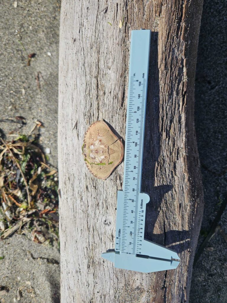a wood post with a sign on it (MyCoast AI)
