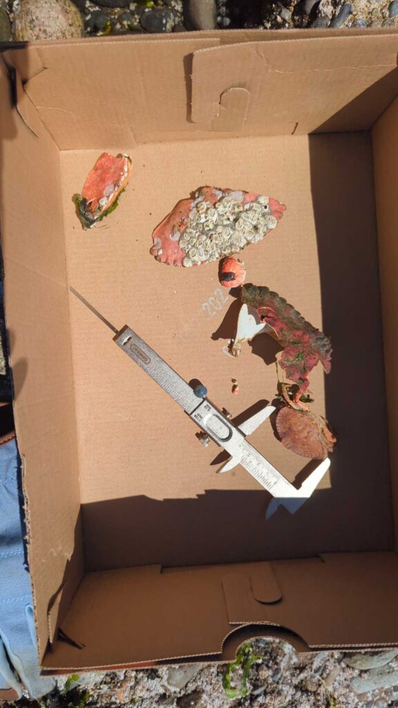 a cardboard box with a picture of a person and a gun (MyCoast AI)