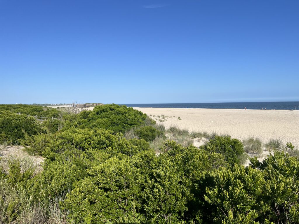 a landscape with trees and bushes (MyCoast AI)