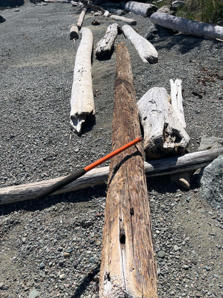 a group of wood pieces (MyCoast AI)
