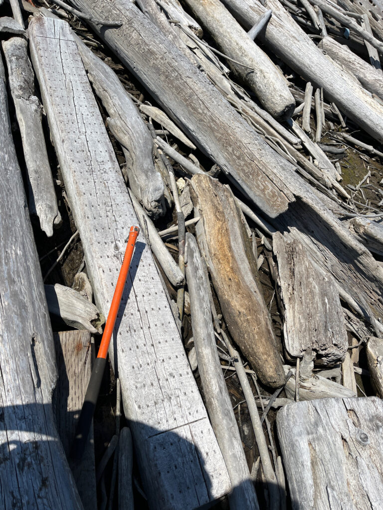 a wood structure with a knife (MyCoast AI)
