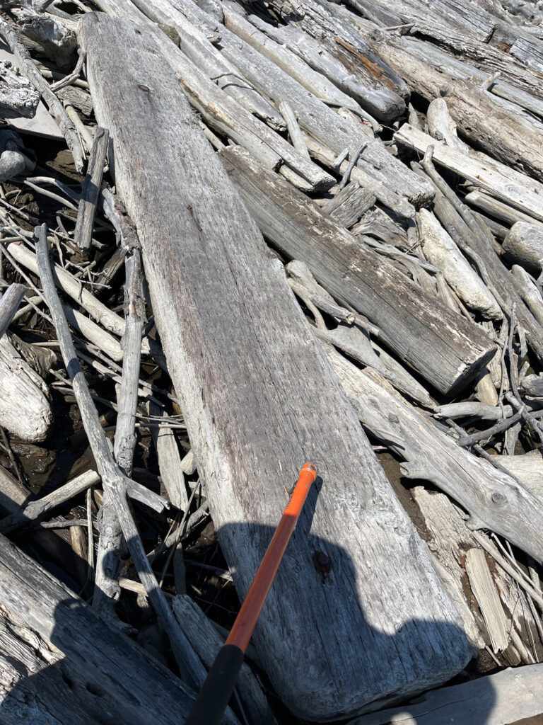 a shovel in a pile of wood (MyCoast AI)