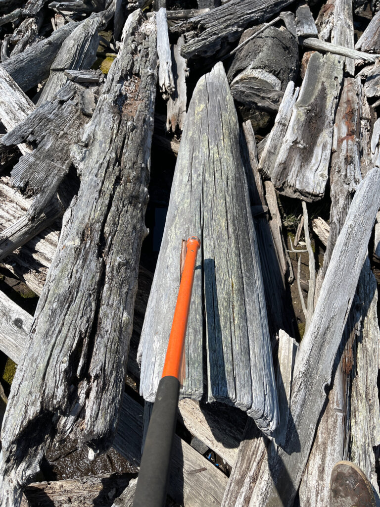 a knife on a tree stump (MyCoast AI)