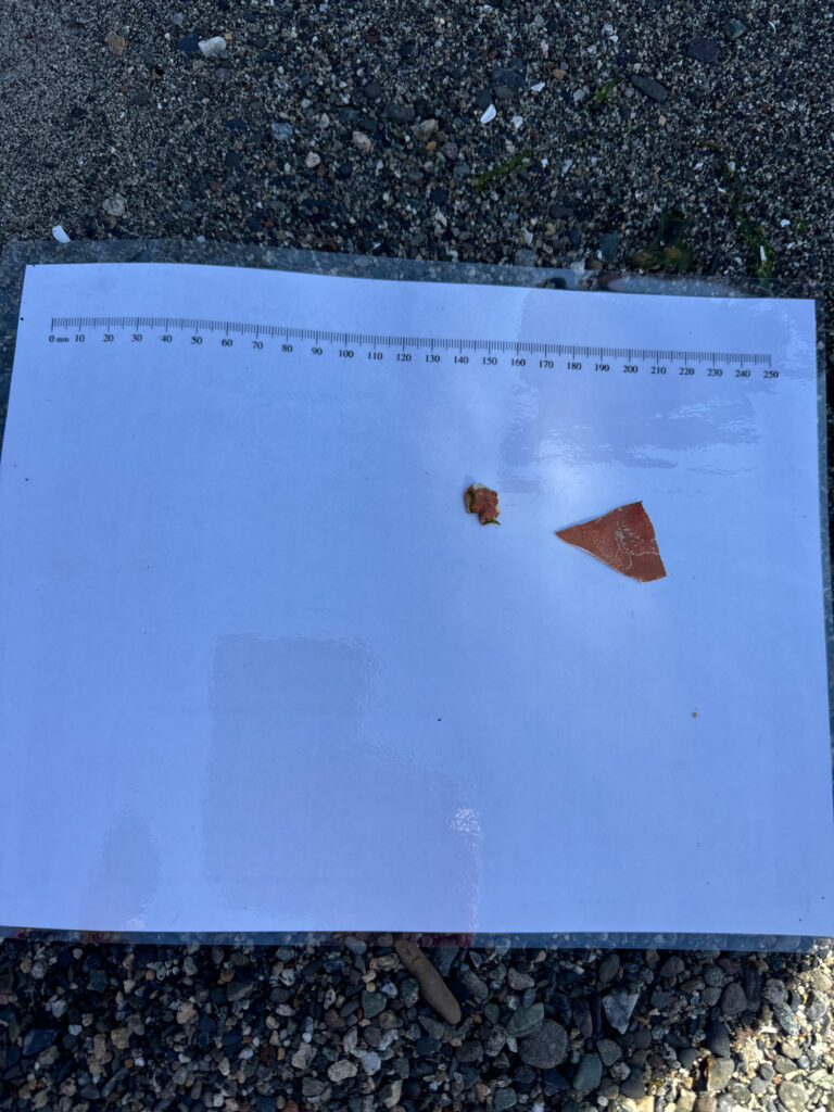 a blue sign with a red arrow (MyCoast AI)