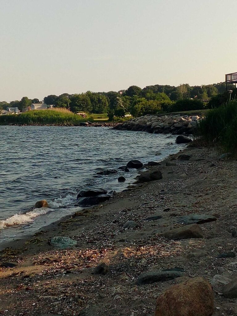 a rocky beach with trees in the background (MyCoast AI)