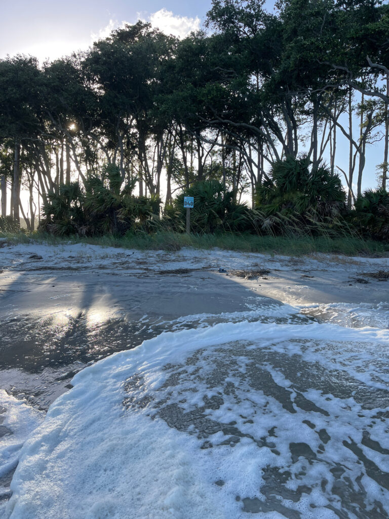 a river with a sign on the side (MyCoast AI)