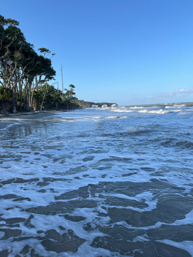 a beach with waves and trees (MyCoast AI)