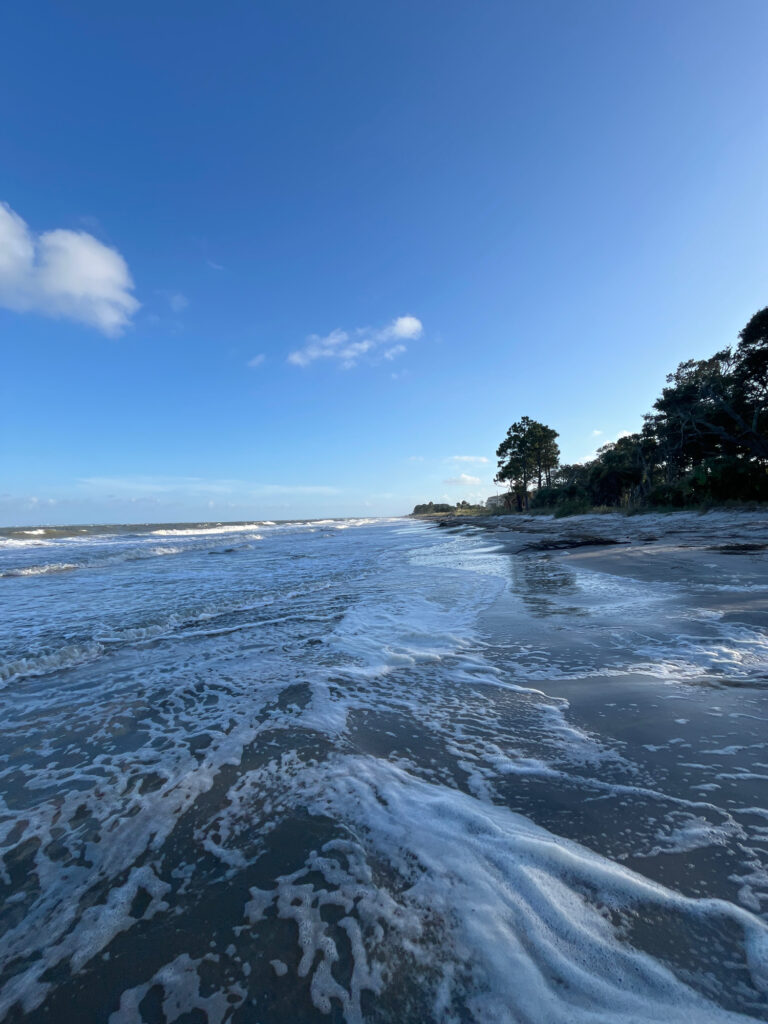 a body of water with waves (MyCoast AI)