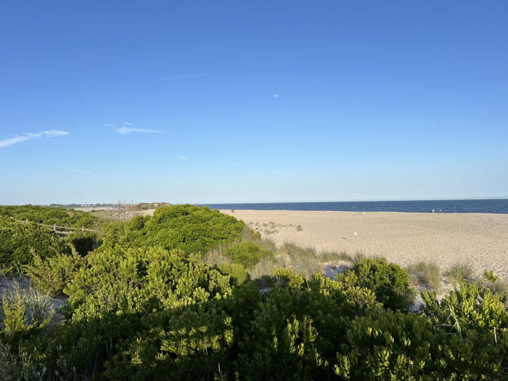 a landscape with bushes and trees (MyCoast AI)
