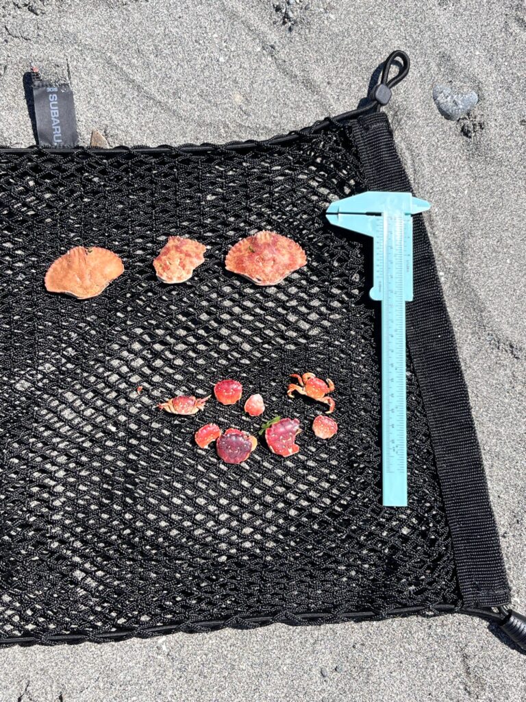 a blue metal tool on a stone surface (MyCoast AI)