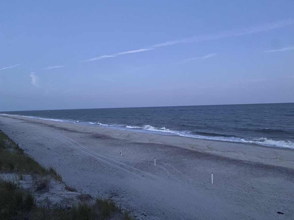 a beach with waves crashing on it (MyCoast AI)
