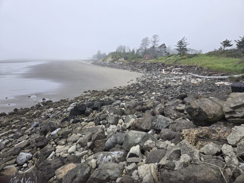 a rocky beach with trees and water (MyCoast AI)