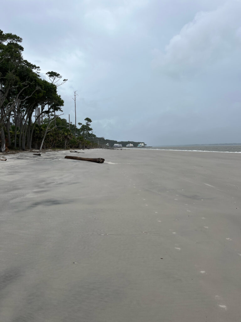 a sandy beach with trees and a body of water in the background (MyCoast AI)