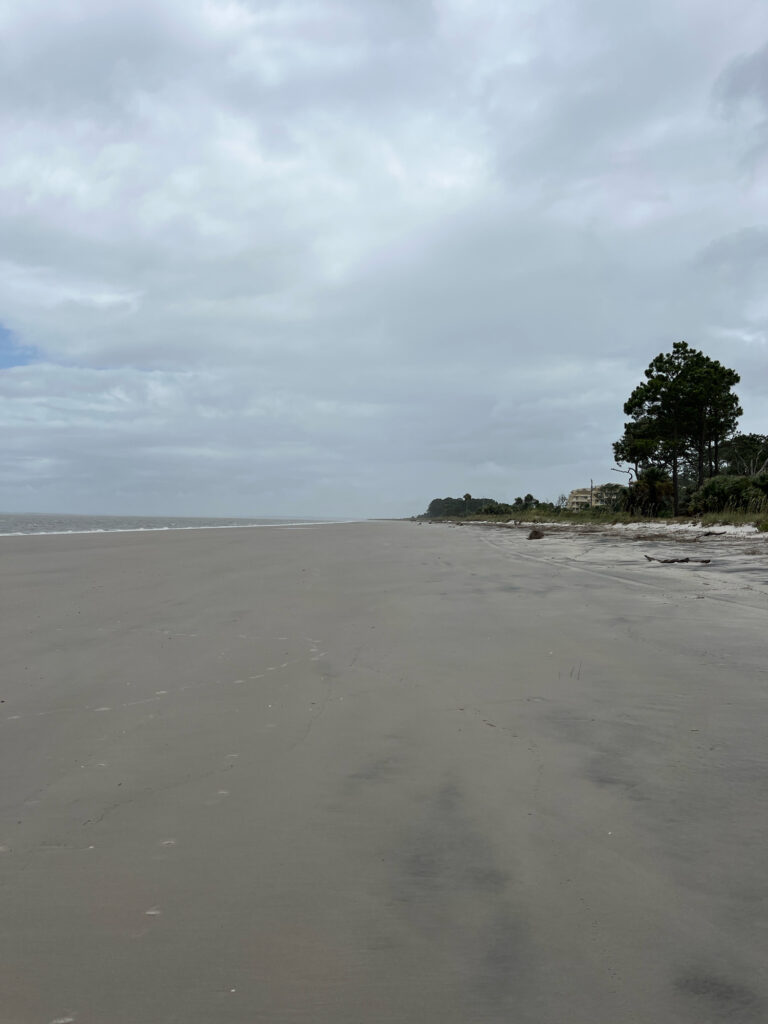 a sandy beach with a tree (MyCoast AI)