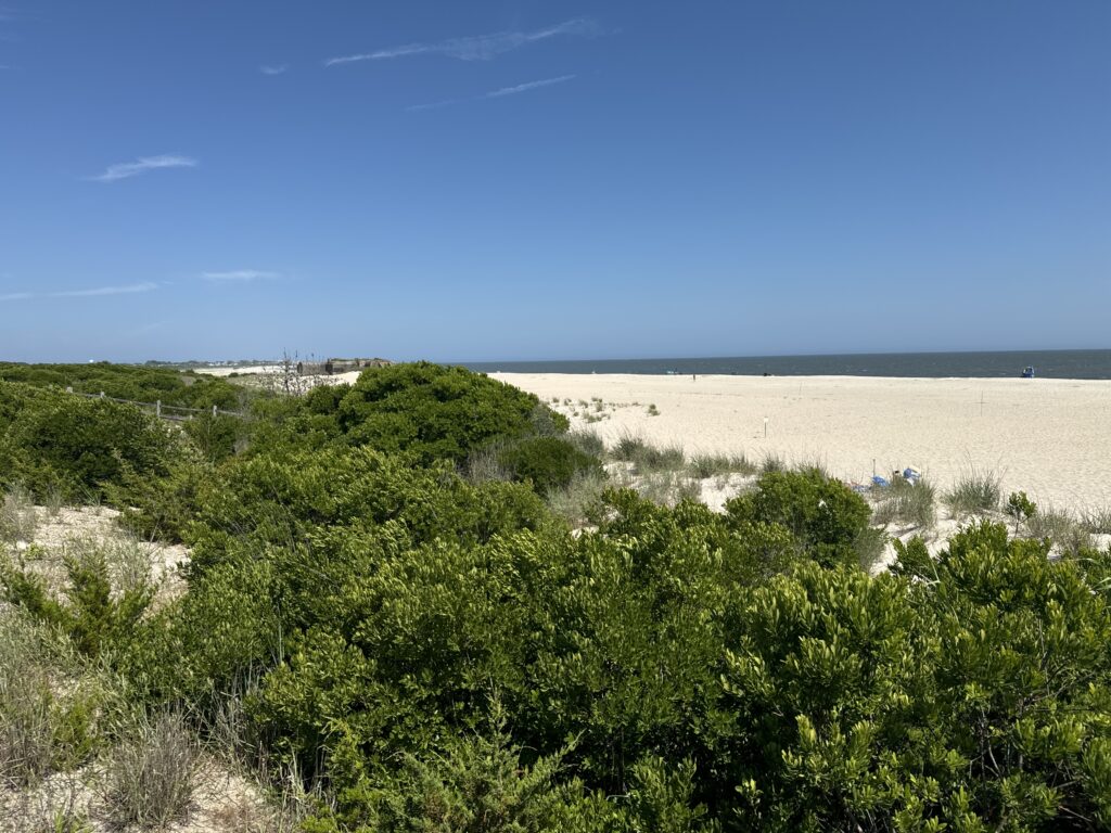 a landscape with trees and bushes (MyCoast AI)
