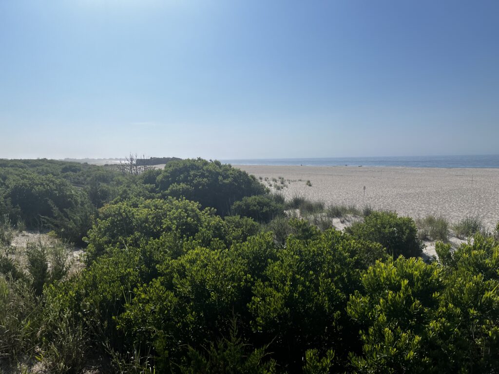 a landscape with trees and a body of water in the background (MyCoast AI)