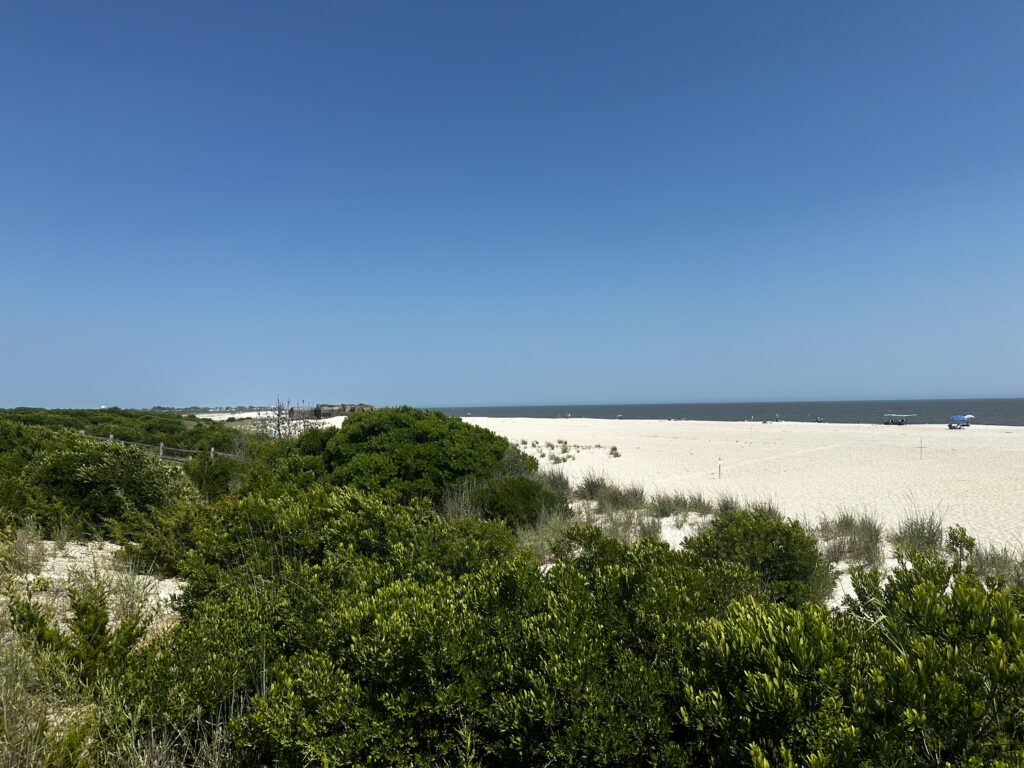 a beach with trees and bushes (MyCoast AI)