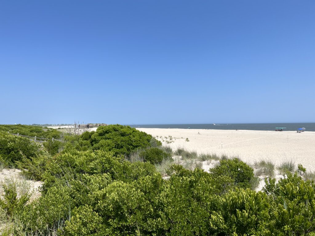 a sandy beach with trees (MyCoast AI)