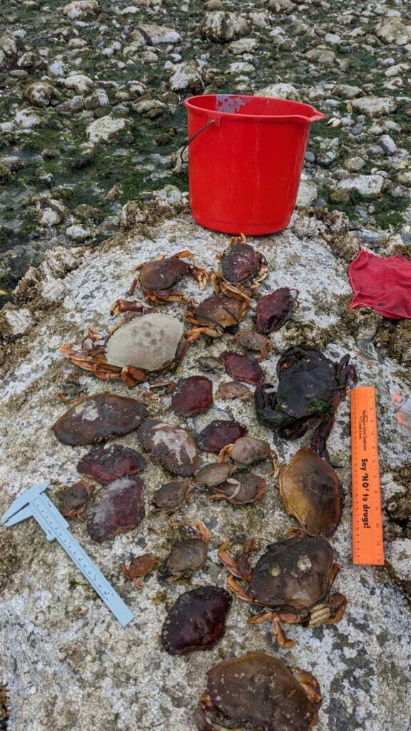 a red bucket on a rocky surface (MyCoast AI)