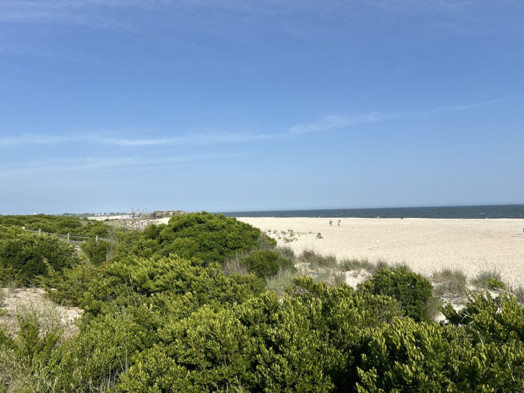 a sandy beach with trees (MyCoast AI)