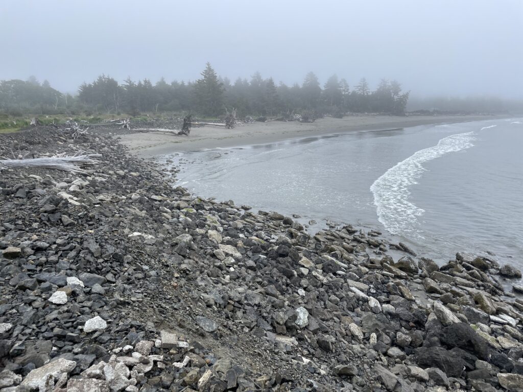 a rocky beach with trees in the background (MyCoast AI)